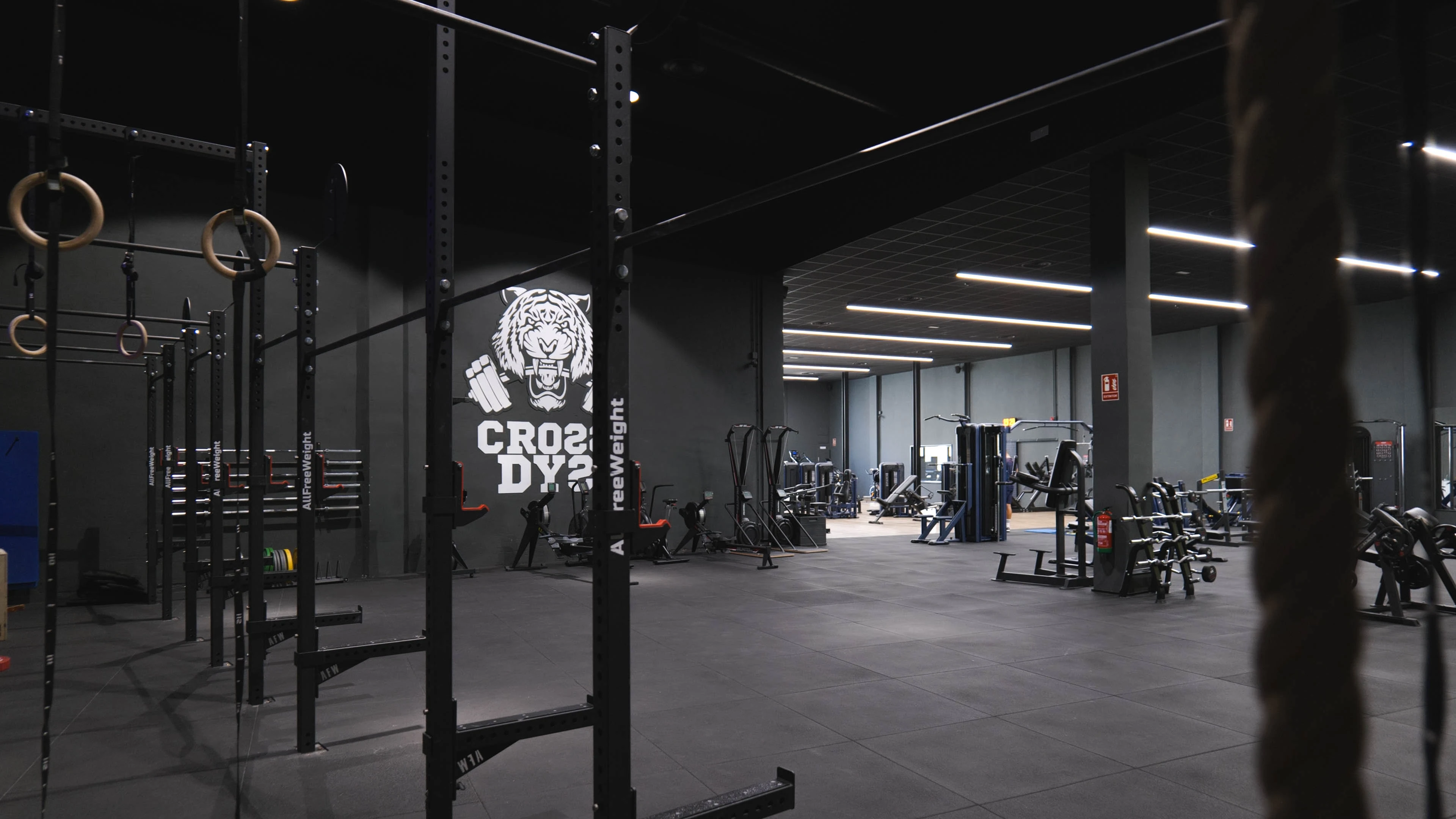 Área de Entrenamiento